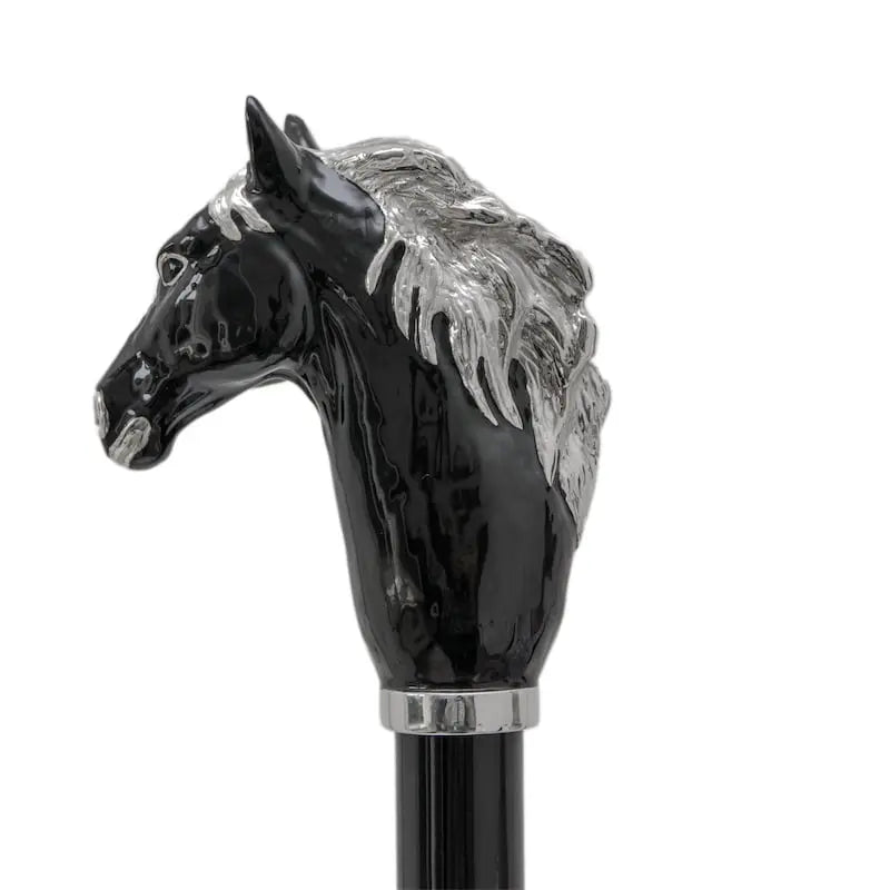 Pasotti Black Horse