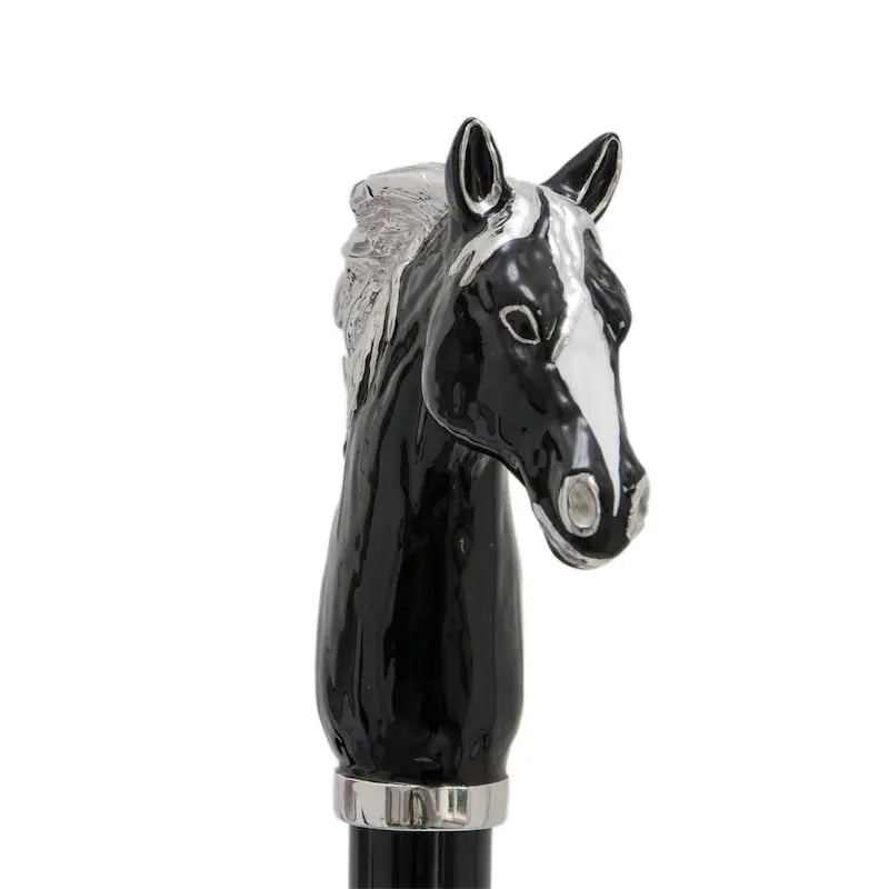 Pasotti Black Horse